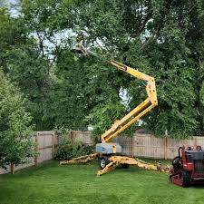 Best Tree Disease Treatment  in Albany, IN